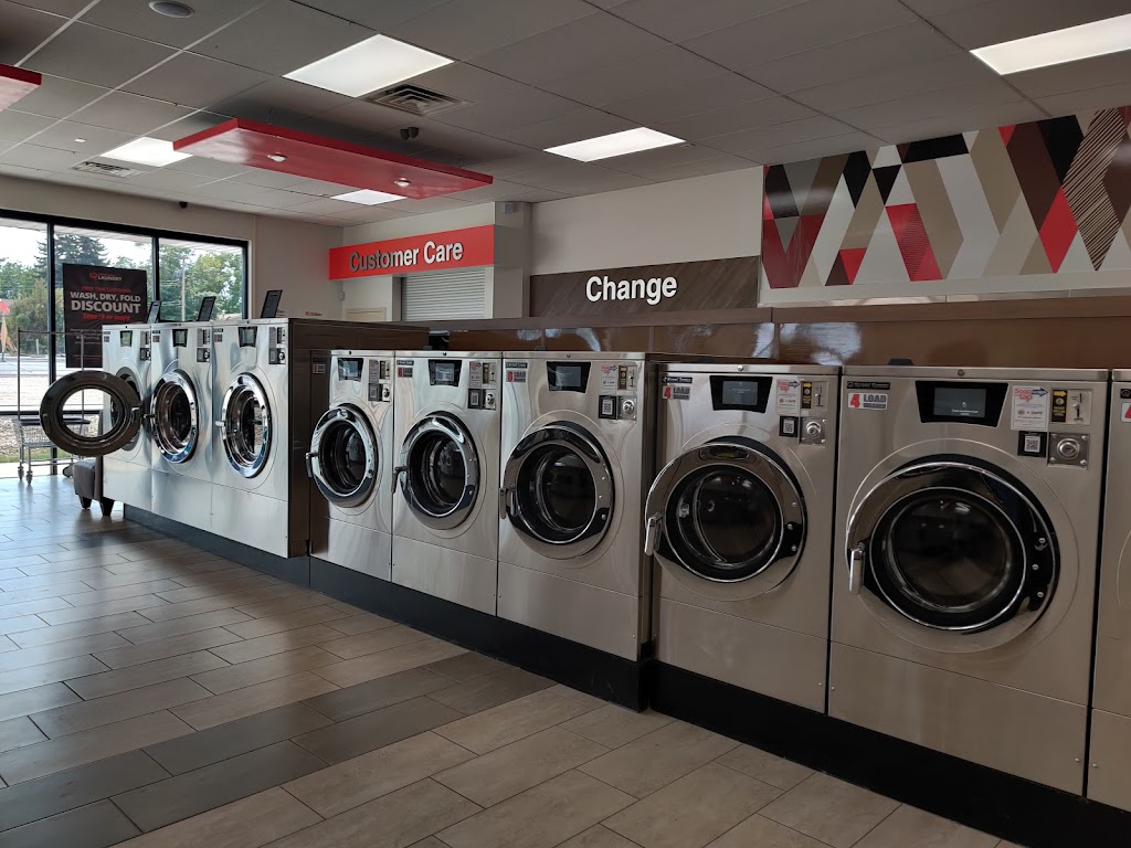 Cras tristique purus non lacus